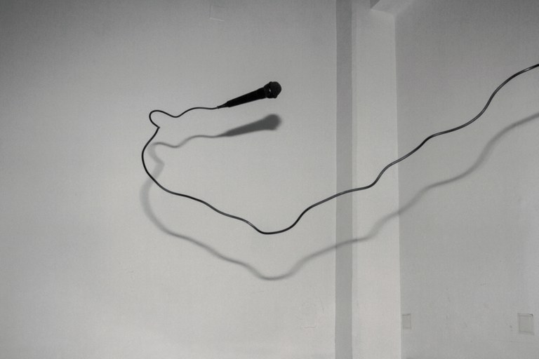 Laura Llaneli. Llindar lleu